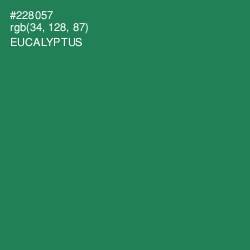 #228057 - Eucalyptus Color Image