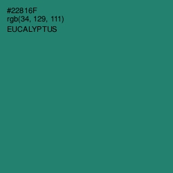 #22816F - Eucalyptus Color Image