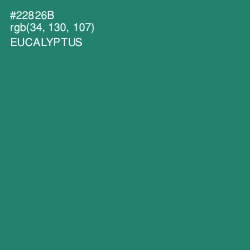 #22826B - Eucalyptus Color Image