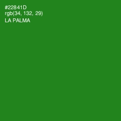 #22841D - La Palma Color Image