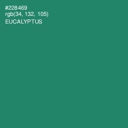 #228469 - Eucalyptus Color Image