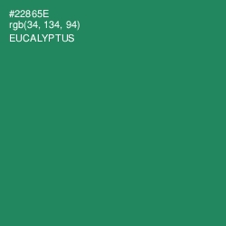#22865E - Eucalyptus Color Image