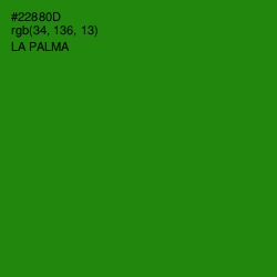 #22880D - La Palma Color Image