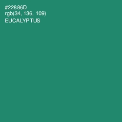 #22886D - Eucalyptus Color Image