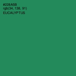 #228A5B - Eucalyptus Color Image