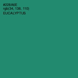 #228A6E - Eucalyptus Color Image