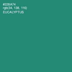 #228A74 - Eucalyptus Color Image