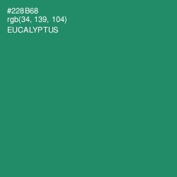 #228B68 - Eucalyptus Color Image