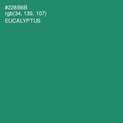 #228B6B - Eucalyptus Color Image