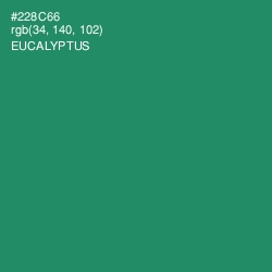 #228C66 - Eucalyptus Color Image