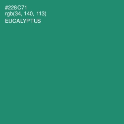 #228C71 - Eucalyptus Color Image