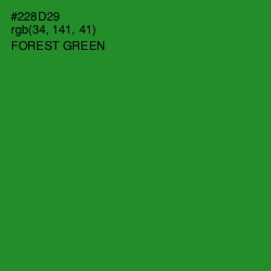 #228D29 - Forest Green Color Image