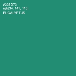 #228D73 - Eucalyptus Color Image