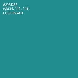 #228D8E - Lochinvar Color Image