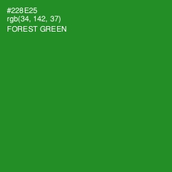#228E25 - Forest Green Color Image