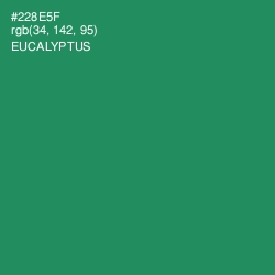 #228E5F - Eucalyptus Color Image