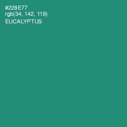 #228E77 - Eucalyptus Color Image