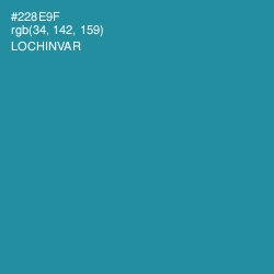 #228E9F - Lochinvar Color Image