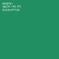 #228F61 - Eucalyptus Color Image