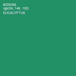 #229266 - Eucalyptus Color Image