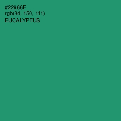 #22966F - Eucalyptus Color Image