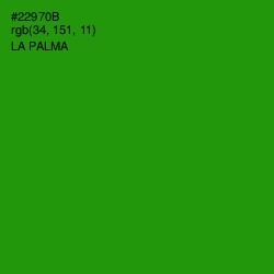 #22970B - La Palma Color Image