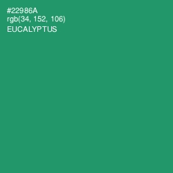 #22986A - Eucalyptus Color Image