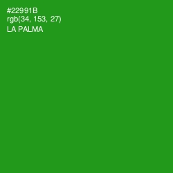 #22991B - La Palma Color Image