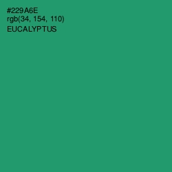 #229A6E - Eucalyptus Color Image