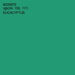 #229B75 - Eucalyptus Color Image