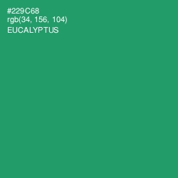#229C68 - Eucalyptus Color Image