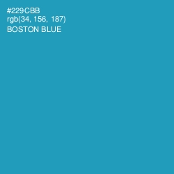 #229CBB - Boston Blue Color Image