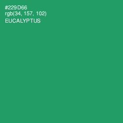 #229D66 - Eucalyptus Color Image