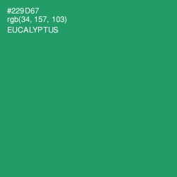 #229D67 - Eucalyptus Color Image