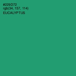 #229D72 - Eucalyptus Color Image