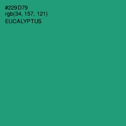 #229D79 - Eucalyptus Color Image