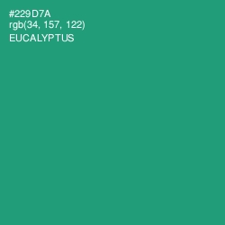 #229D7A - Eucalyptus Color Image