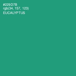 #229D7B - Eucalyptus Color Image