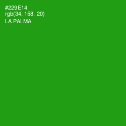 #229E14 - La Palma Color Image