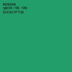 #229E6A - Eucalyptus Color Image