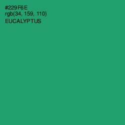 #229F6E - Eucalyptus Color Image