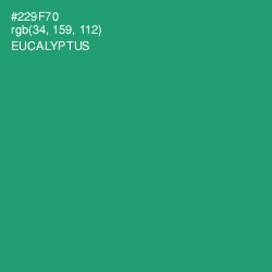 #229F70 - Eucalyptus Color Image