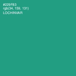 #229F83 - Lochinvar Color Image