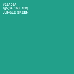 #22A08A - Jungle Green Color Image