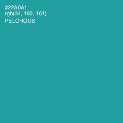 #22A0A1 - Pelorous Color Image