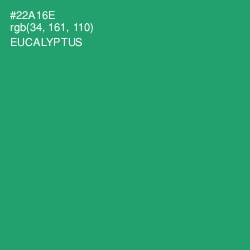 #22A16E - Eucalyptus Color Image