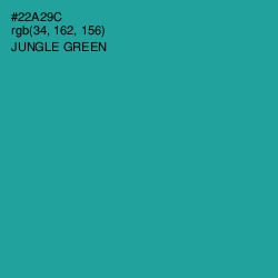 #22A29C - Jungle Green Color Image