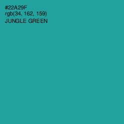 #22A29F - Jungle Green Color Image