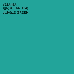 #22A49A - Jungle Green Color Image