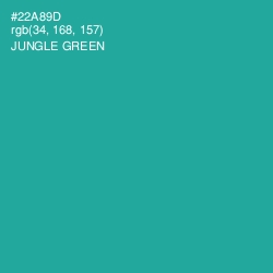 #22A89D - Jungle Green Color Image